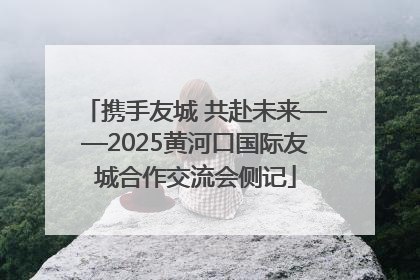 携手友城 共赴未来——2025黄河口国际友城合作交流会侧记